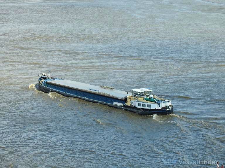 Anjo — thumbnail 2